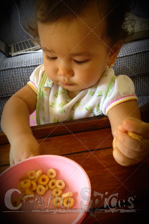 Kaylee is one year old Kaylee is one year old