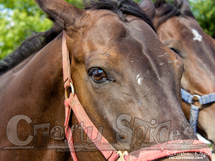 "Are you looking at me?"