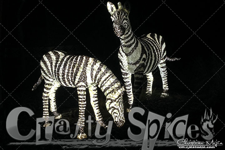 Lovely Zebras Busch Gardens Christmas town