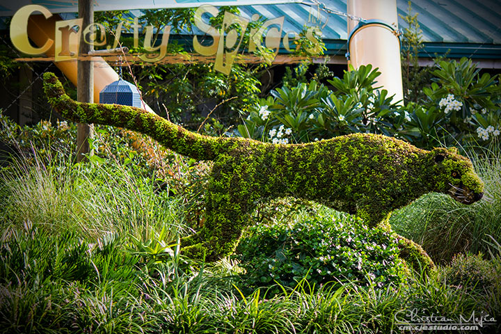 The Chita topiary at Busch Gardens The Chita topiary at Busch Gardens