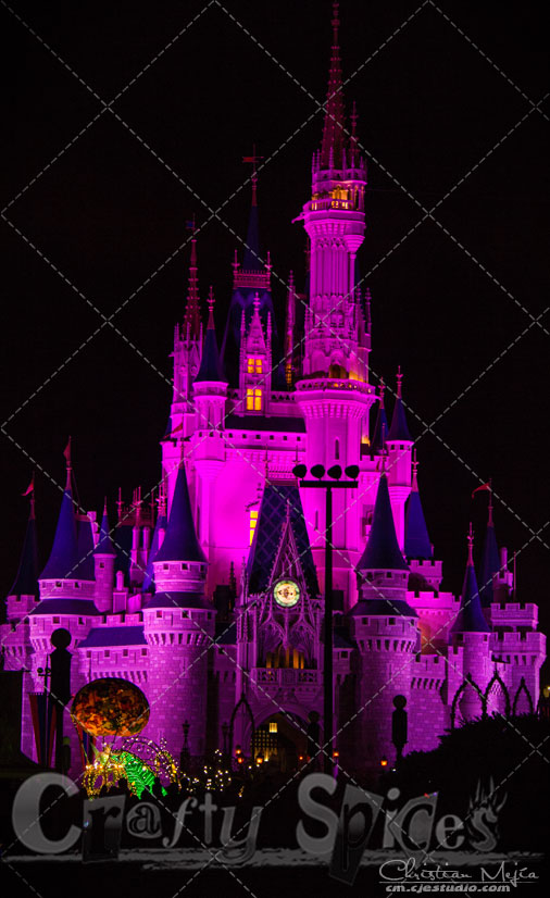Walt Disney World, Cinderella Castle in Pink Walt Disney World, Cinderella Castle in Pink