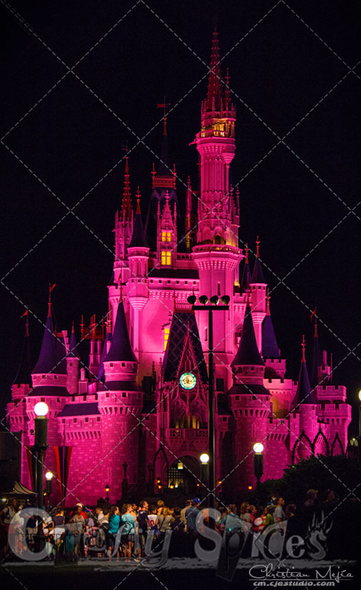 Walt Disney World, Cinderella Castle in Red Walt Disney World, Cinderella Castle in Red