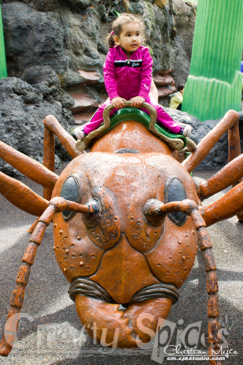 Kaylee on a giante ant - Disney World Hollywood Studios Honey I Shrunk the Kids Kaylee on a giante ant - Disney World Hollywood Studios Honey I Shrunk the Kids