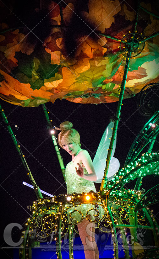Tinkerbell at the end of the day! Tinkerbell at the end of the day!