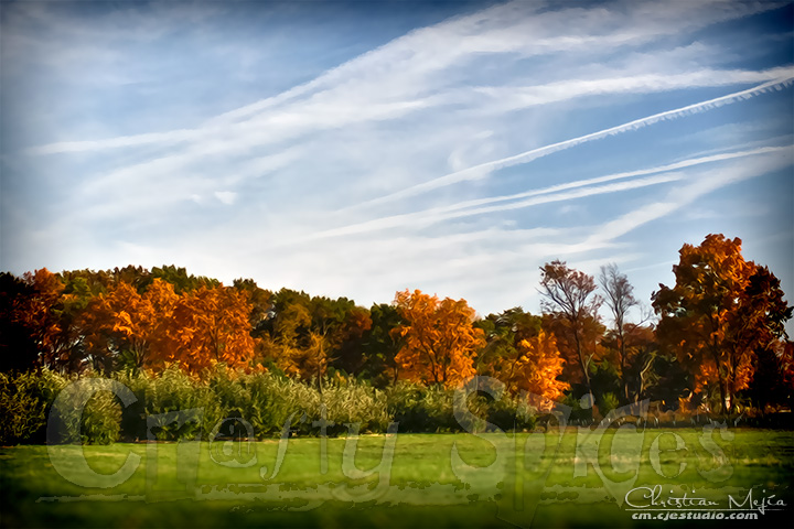 Fall Colors Fall Colors