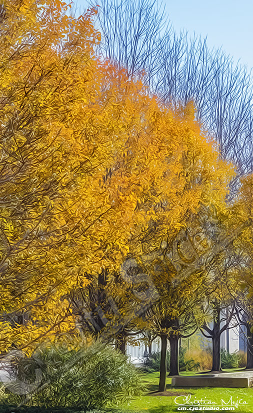 Fall Colors. Fall Colors.