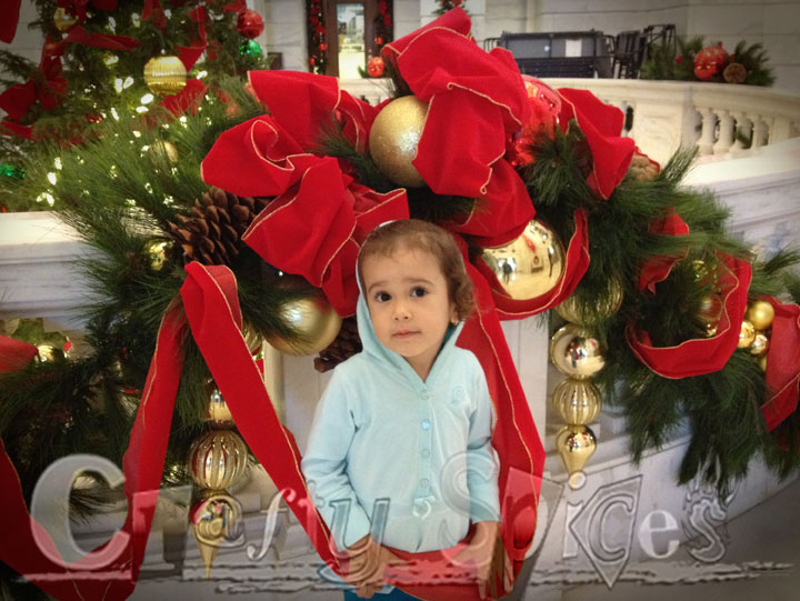 Kira's 3erd Christmas