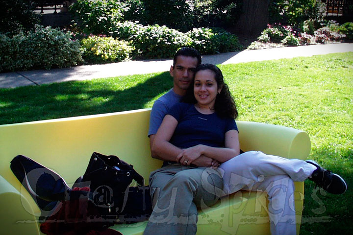 A Day at the Park! A Day at the Park!