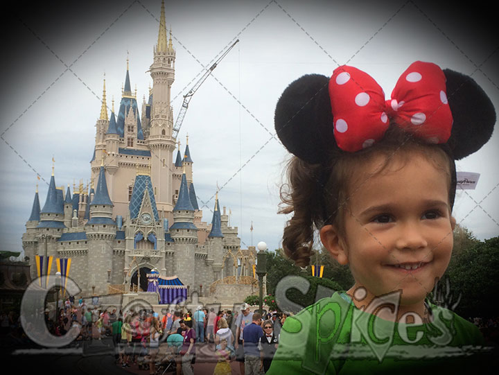 Kira's Disney Side Kira's Disney Side