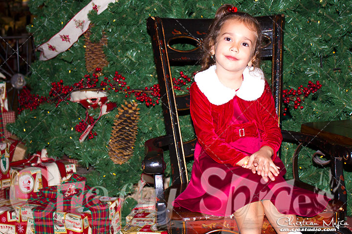 Christmas 2014 Christmas 2014