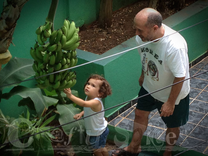 Kira at the Banana Tree with Grandpa Kira at the Banana Tree with Grandpa