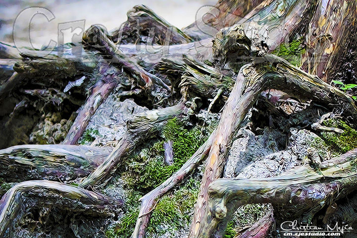 Surreal Nature 03 Surreal Nature 03