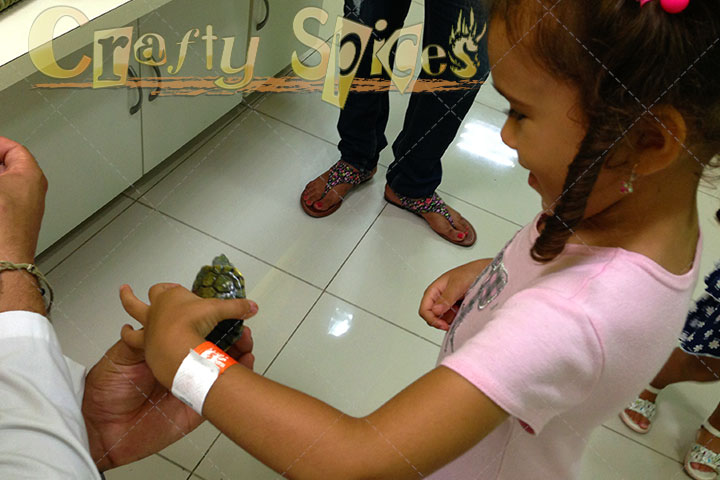 Kira with a real little turtle Kira with a real little turtle