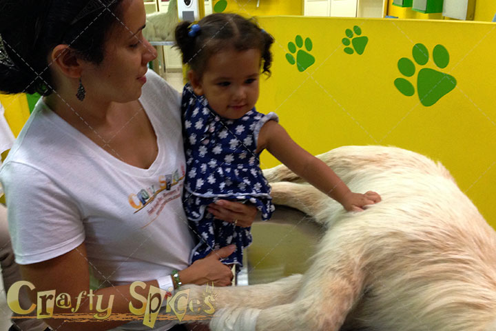 Kaylee feeling the heartbeat of the make believe dog Kaylee feeling the heartbeat of the make believe dog