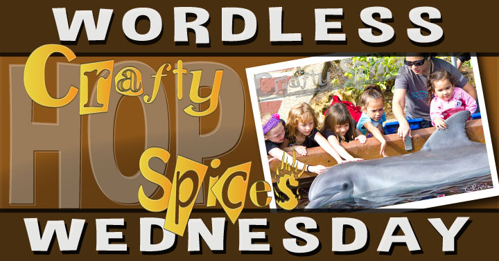 Wordless Wednesday Hop Wordless Wednesday Hop